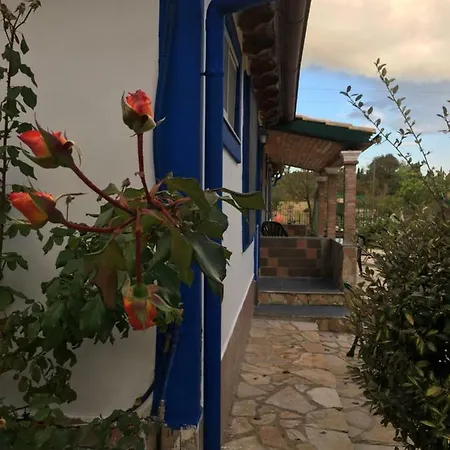 Facen Apartment